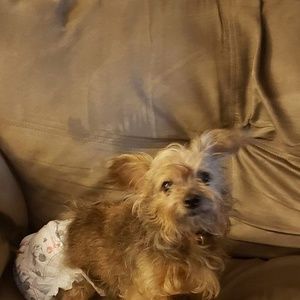 Meet your Posher, William